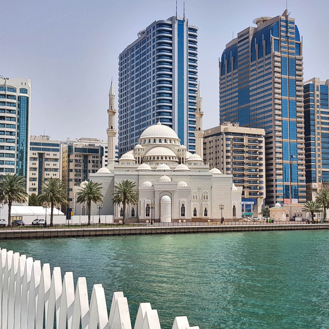 Best Watch Winders in Sharjah