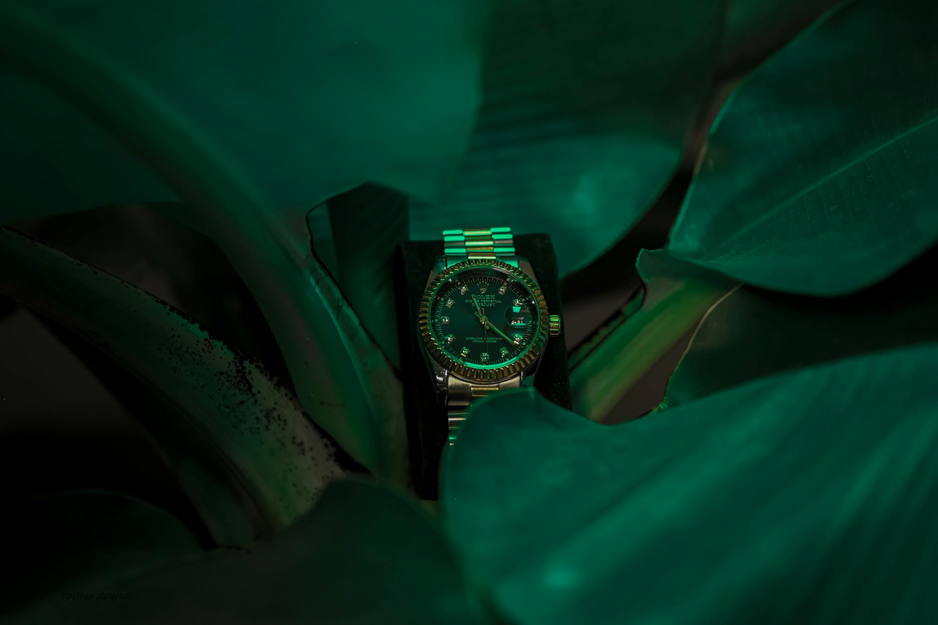 Elegant Rolex wristwatch nestled among vibrant green leaves, showcasing luxury and nature.