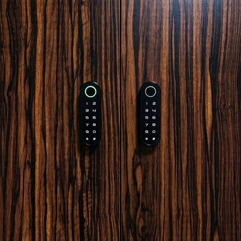 Macassar Ebony vs Walnut: Wood Choices for Watch Storage