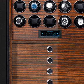 MACASSAR EBONY™ 20 WATCH SAFE