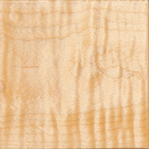 Curly Maple